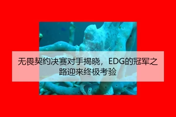 wu-wei-qi-yue-jue-sai-dui-shou-jie-xiao-de-guan-jun-zhi-lu-ying-lai-zhong-ji-kao-yan-2-653.jpg